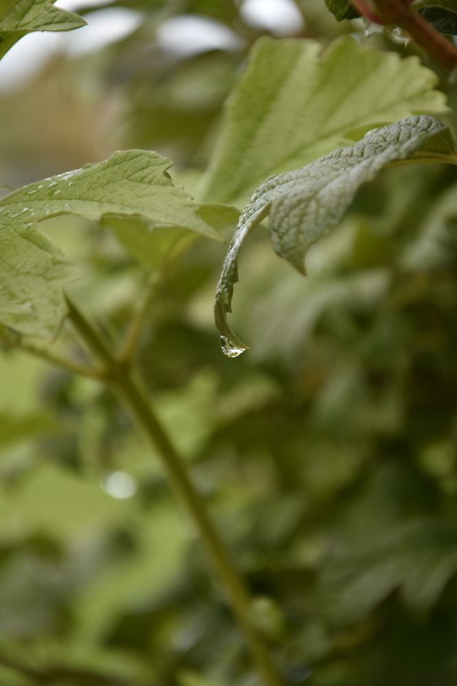 Photograph by Юлия Ю