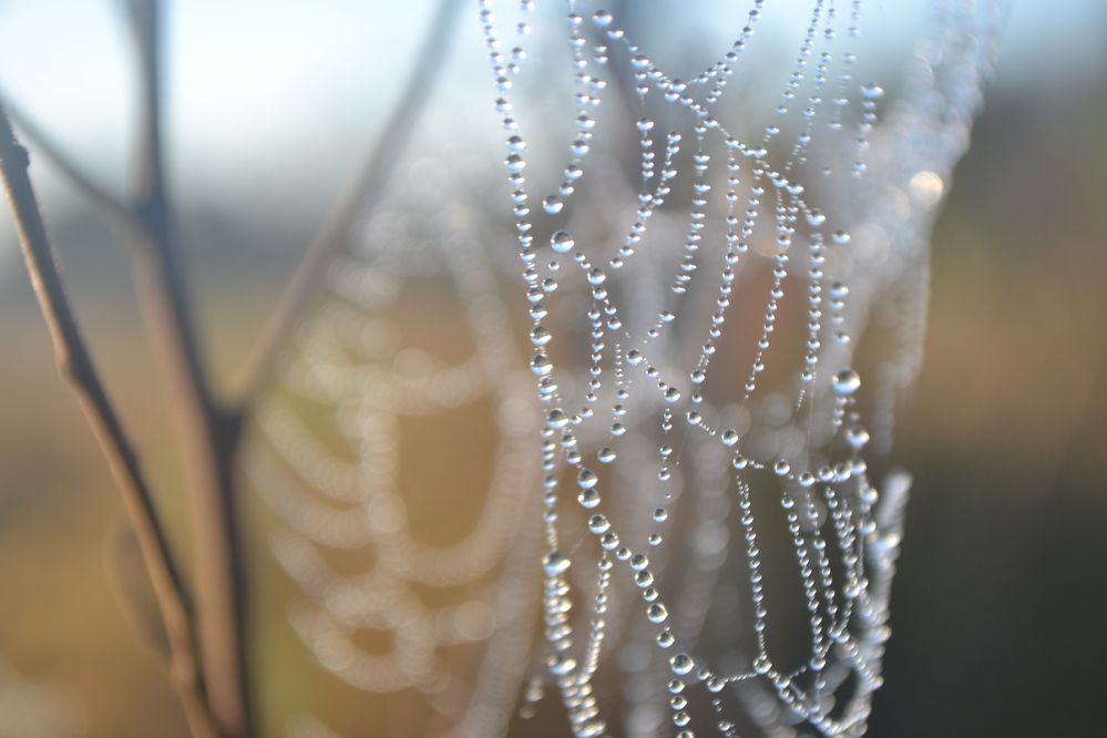 Photograph by Gildo de Campos Correa