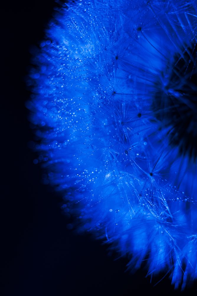 Фотография автора Войнов Дмитрий