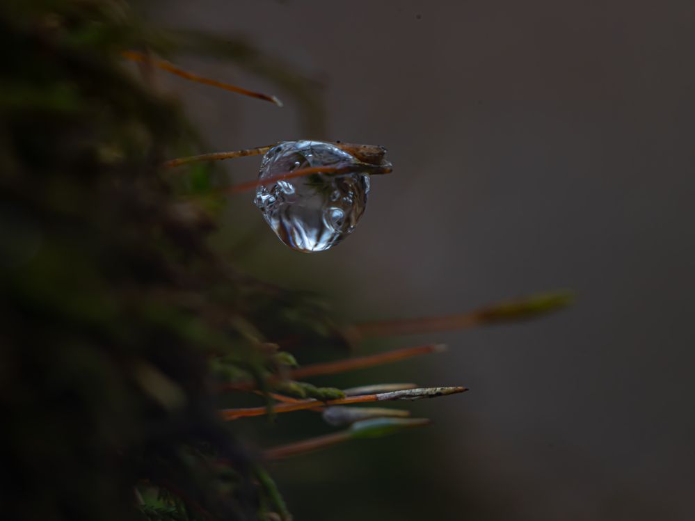 Photograph by Дмитрий Давидов