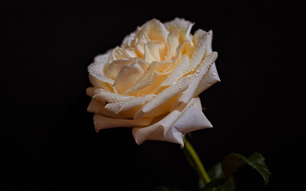 Photograph by Вадим Басов