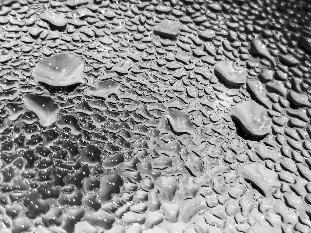 Photograph by Sergey Kurkov-Tarkovsky