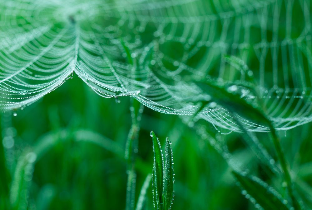 Photograph by Lada Tregubov