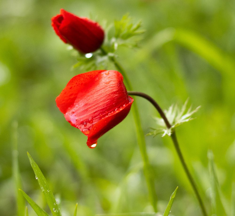 Photograph by Lada Tregubov