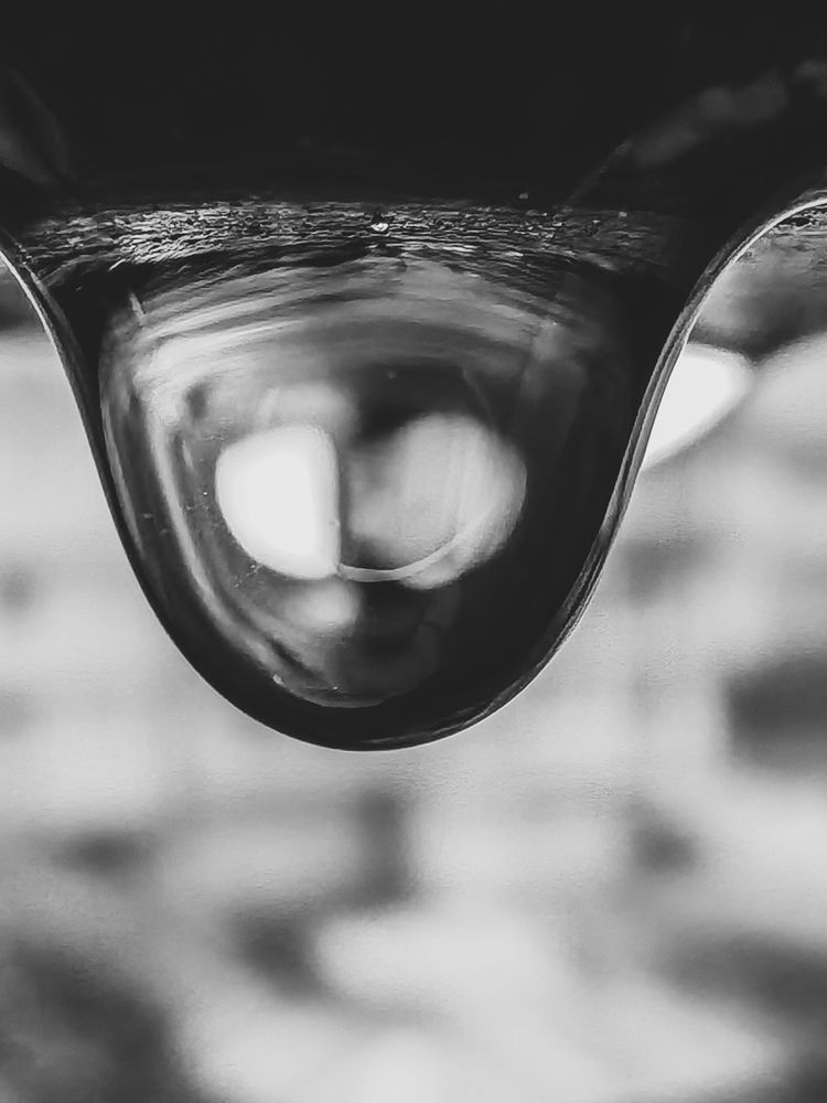 Фотография автора BIBEK chettri