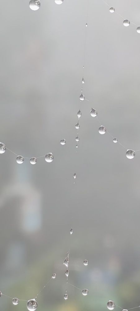 Фотография автора BIBEK chettri