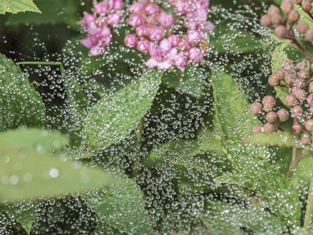 Photograph by Борис Полтавец