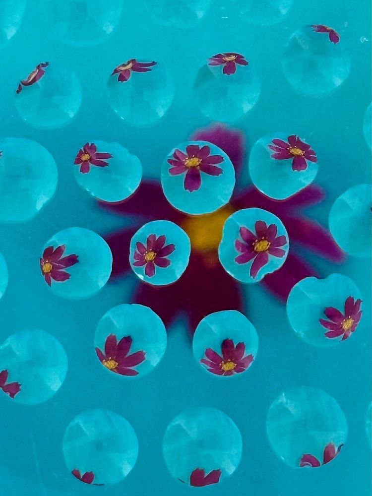 Photograph by Анна Ермак