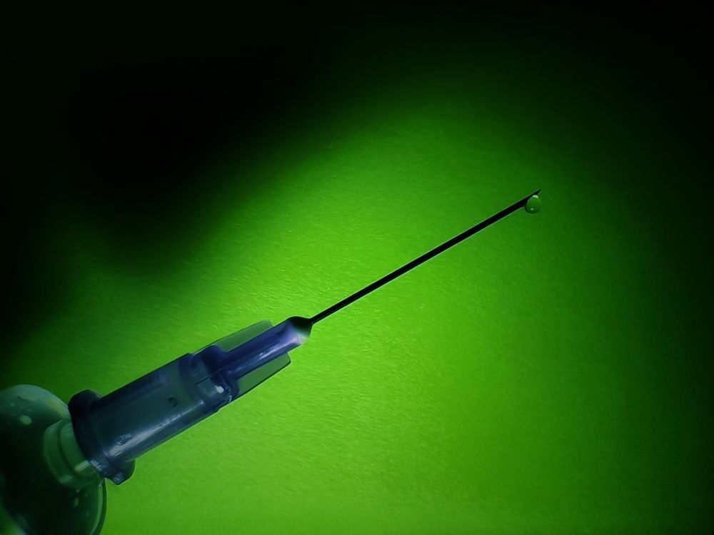 Photo #12574910