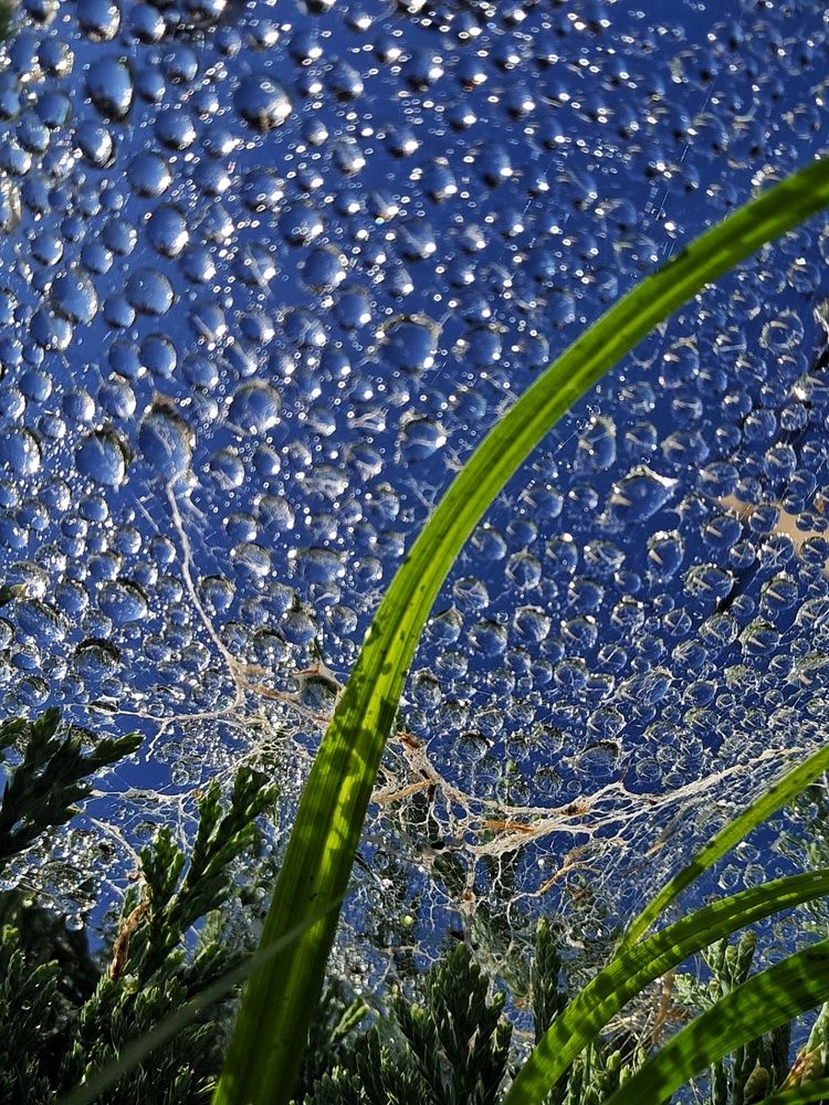 Photograph by Maria Osipova