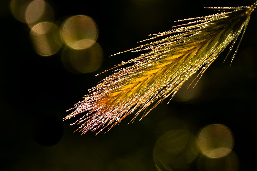 Photograph by Gabriella Magyar