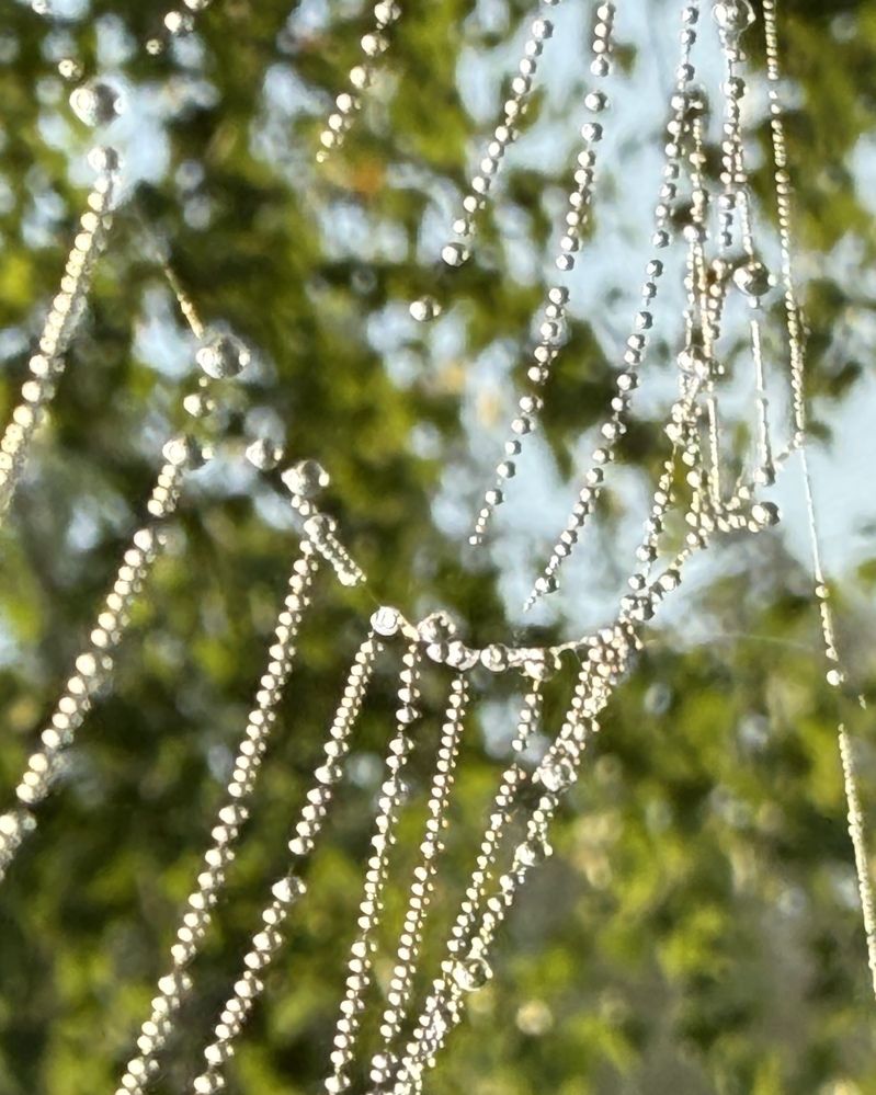 Photograph by Nadezda Yablokova