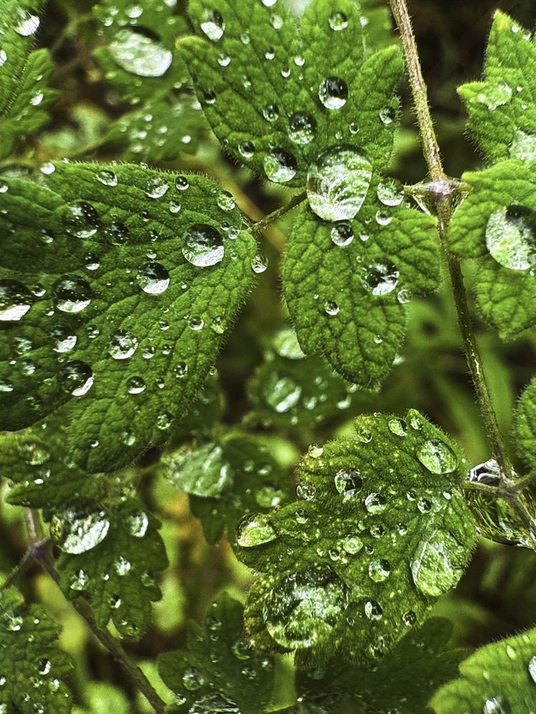 Photograph by Nadezda Yablokova