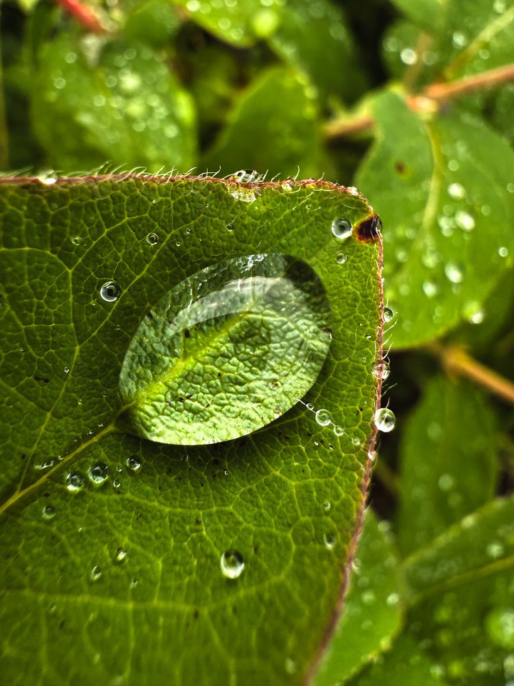 Photograph by Nadezda Yablokova