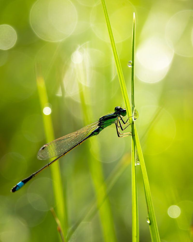 Photograph by KOHAGI