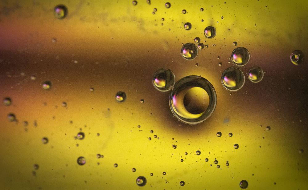 Фотография автора Василев Теодор