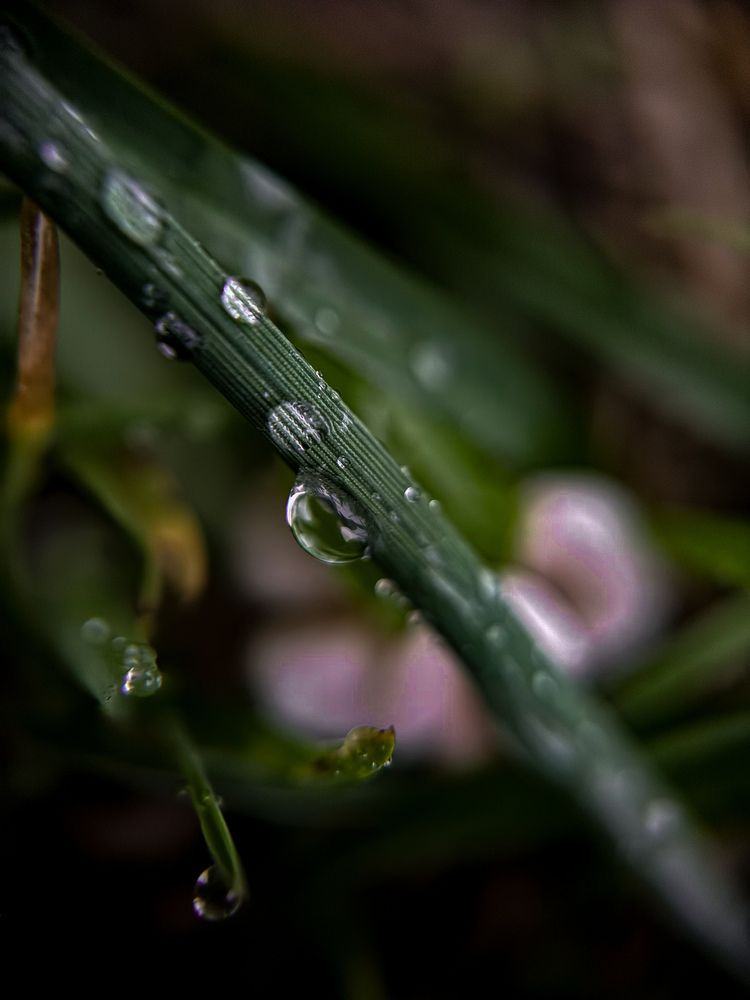 Photograph by Анна Пигулевская