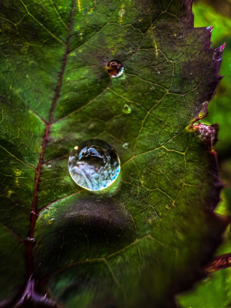 Photograph by Анна Пигулевская