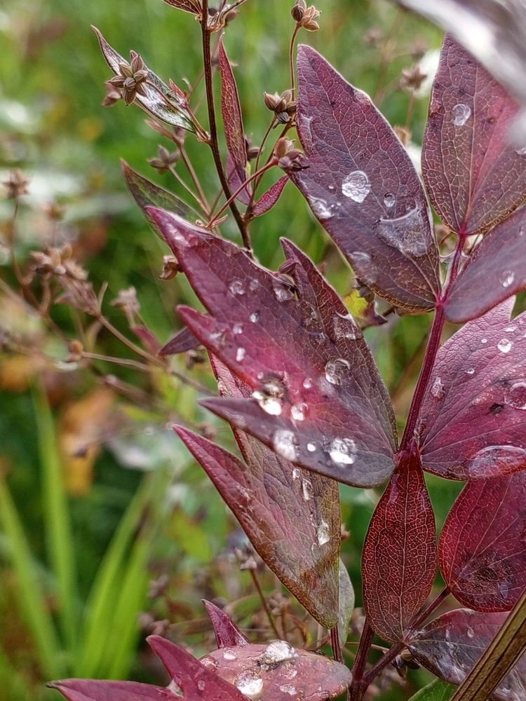 Photograph by Татьяна Николаевна