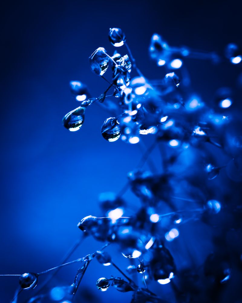 Photograph by KOHAGI