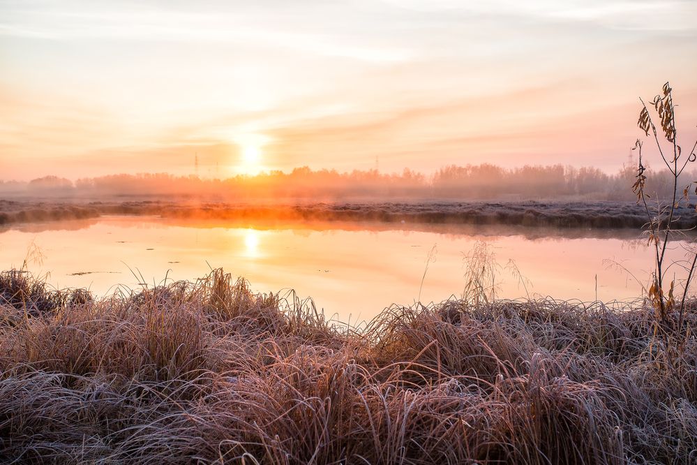 Туманный рассвет.