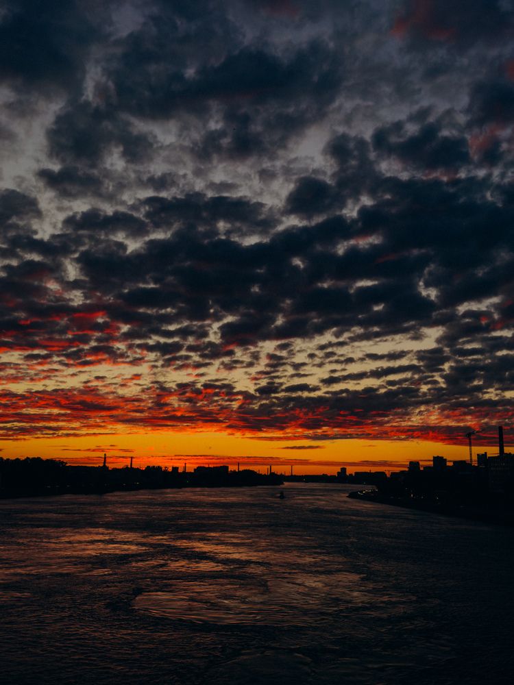 Photograph by ALISA NEZHINSKAYA