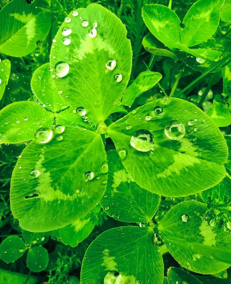 Photograph by Дарья