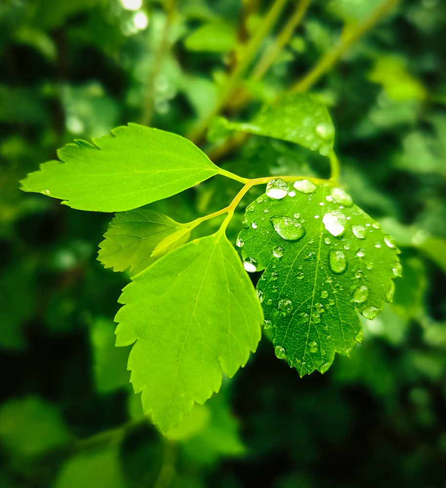 Photograph by Дарья