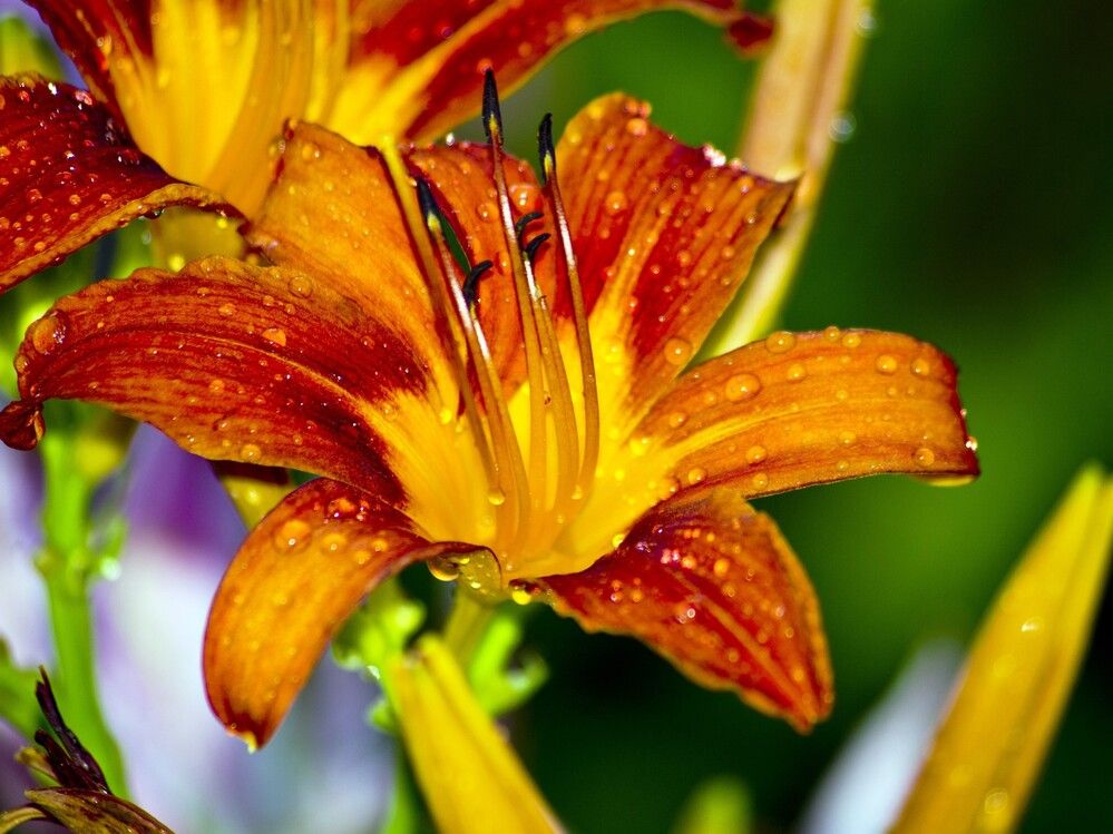 Photograph by Михаил Обертаев