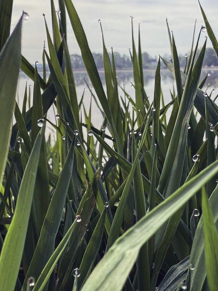 Photograph by Сидоренко Оксана