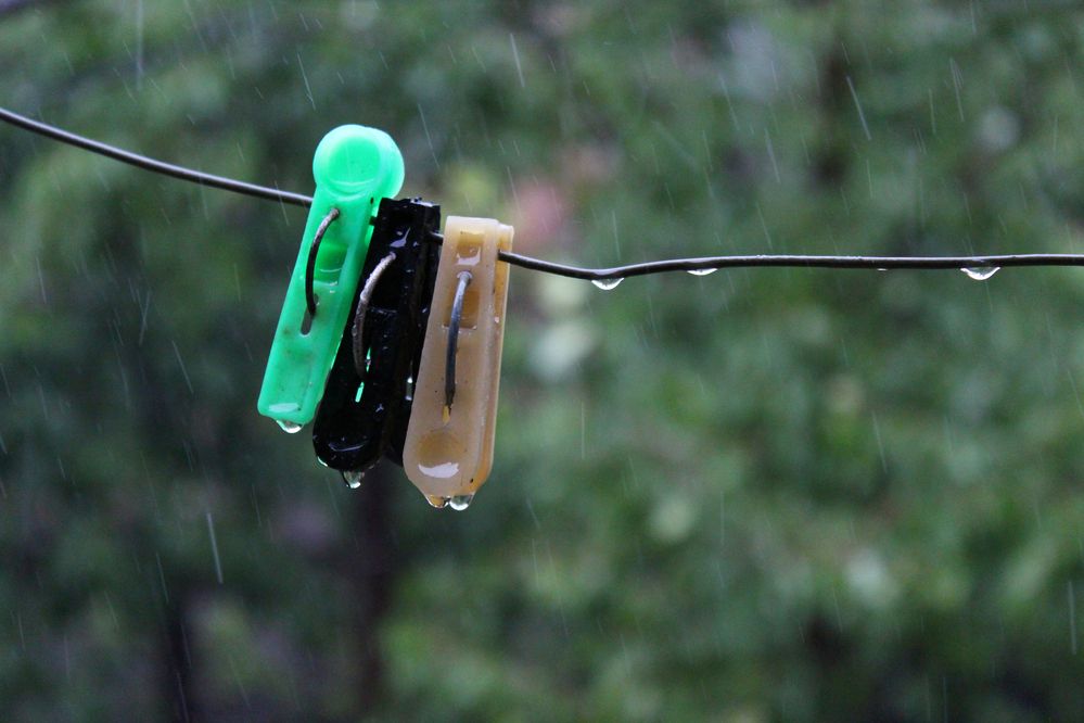 Photograph by Светлана Шубина