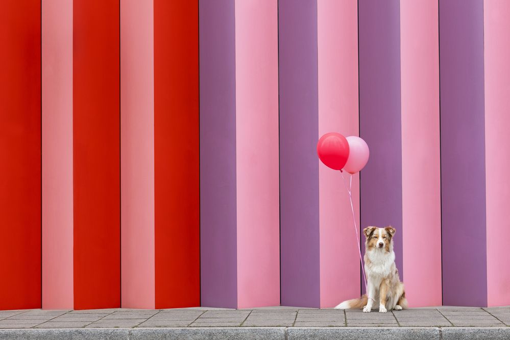 Photograph by Daniela Schmid