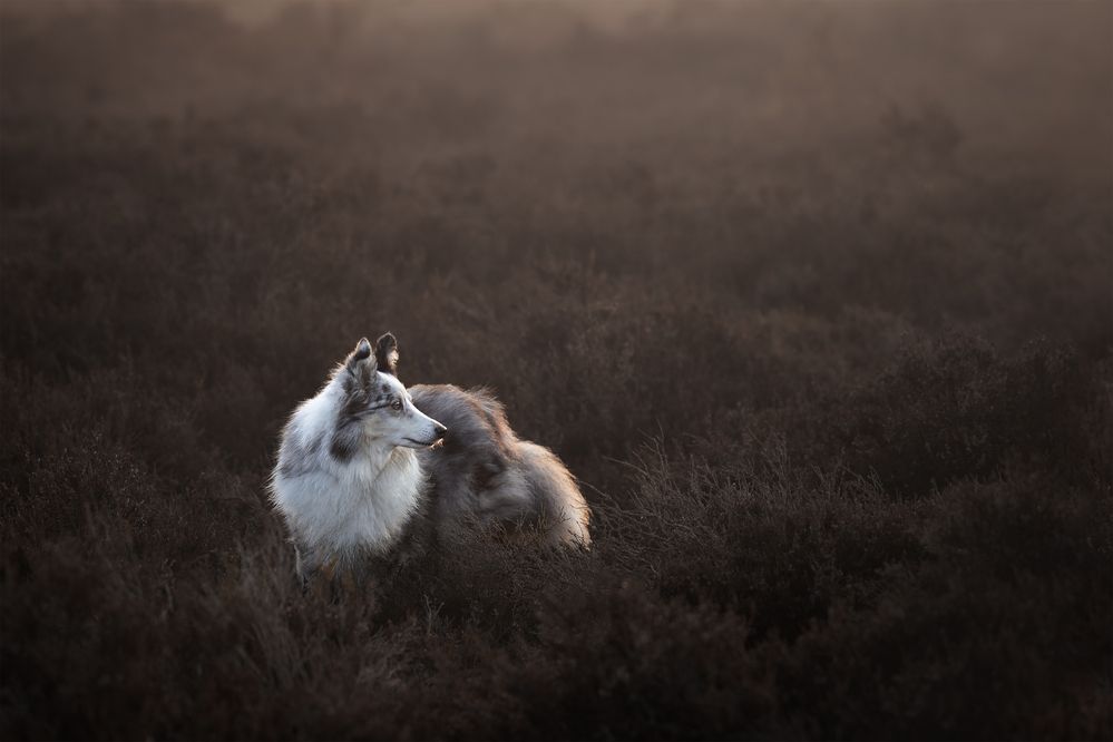 Photograph by Daniela Schmid