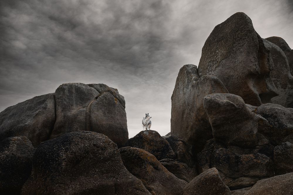 Photograph by Daniela Schmid