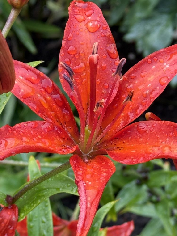 Photograph by Ольга Желтова