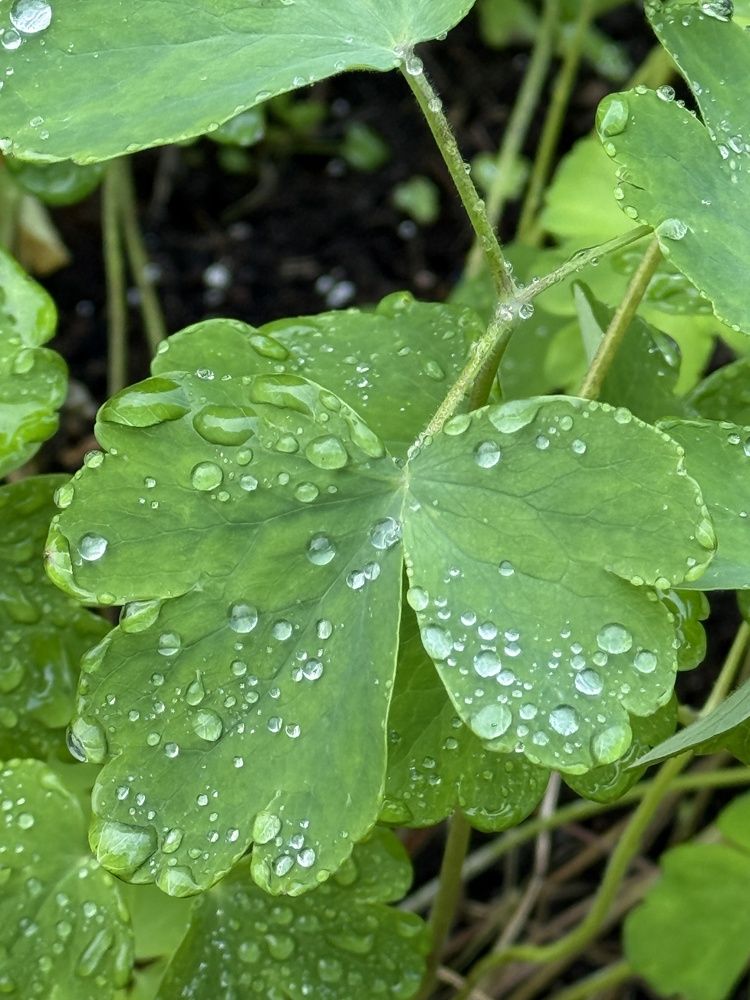 Photograph by Ольга Желтова