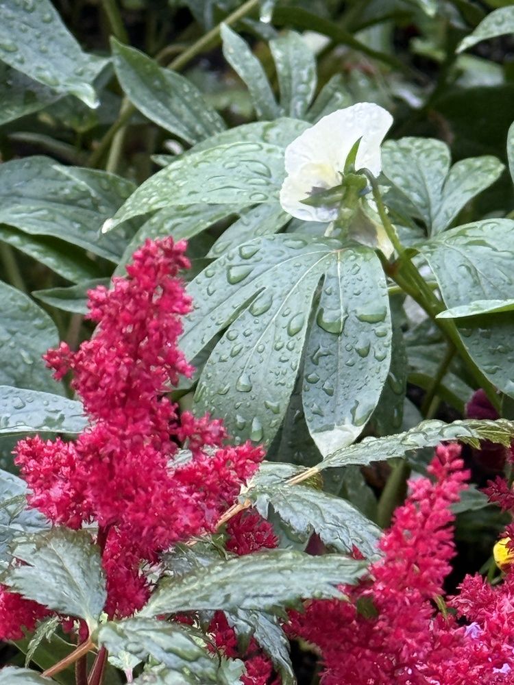 Photograph by Ольга Желтова