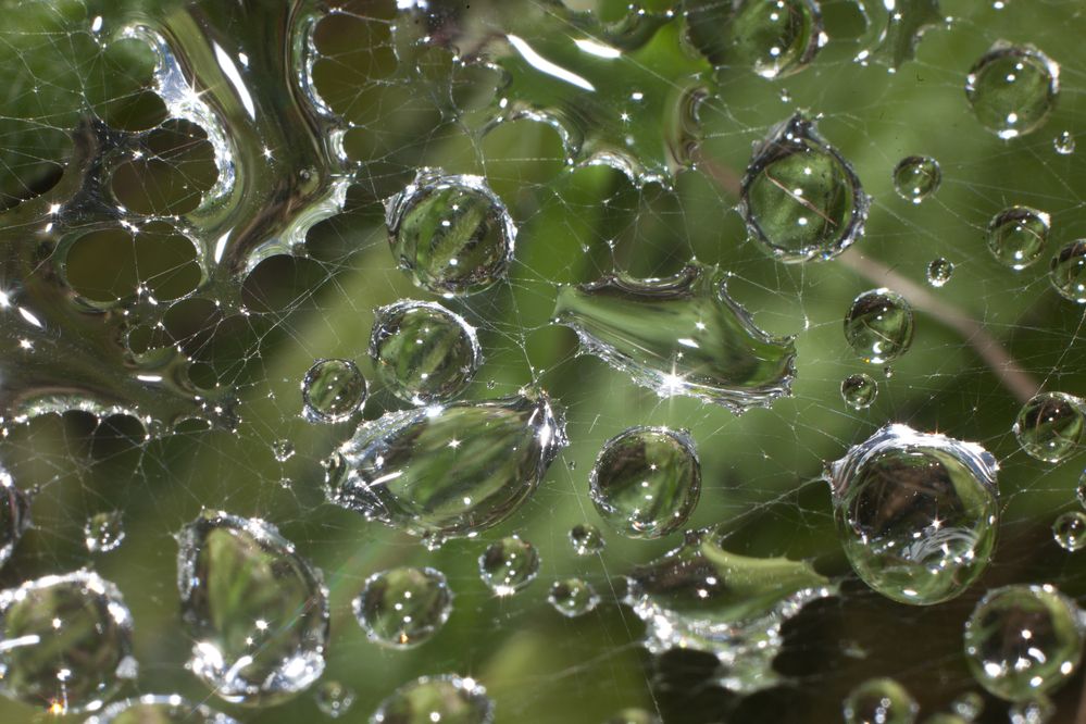 Photograph by Павел Швецов