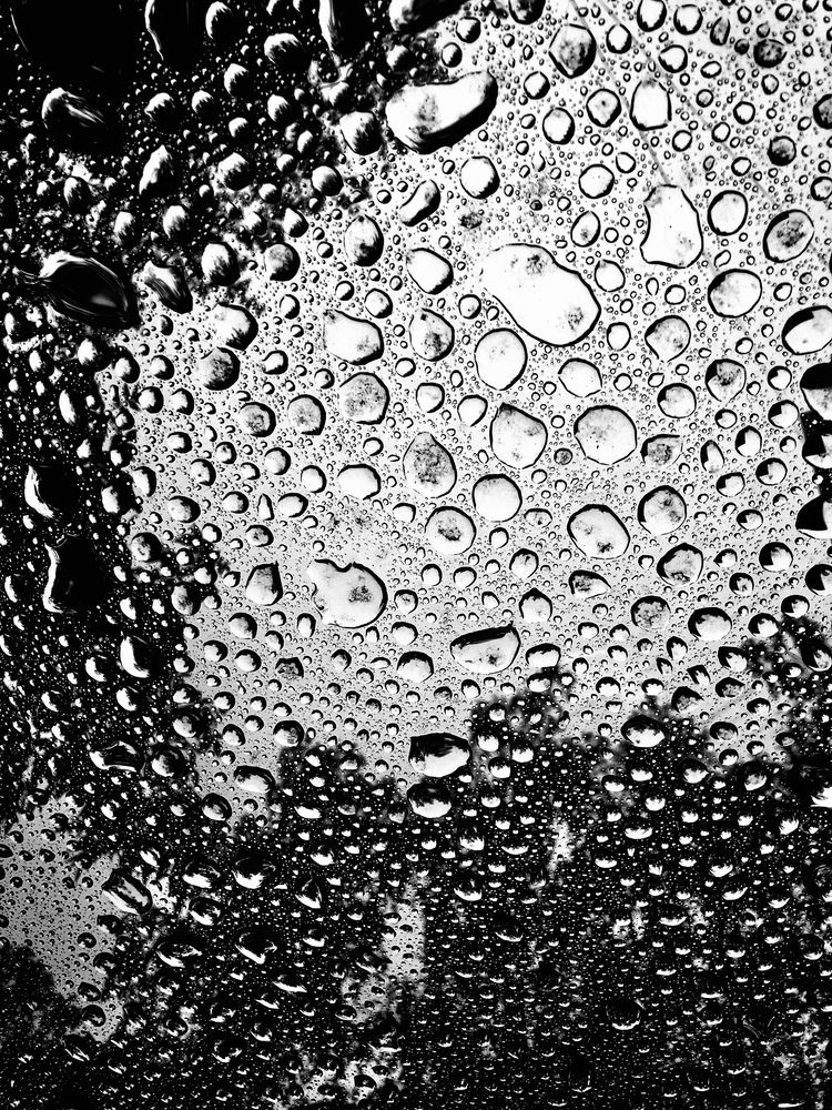 Фотография автора Елизавета Станкевич