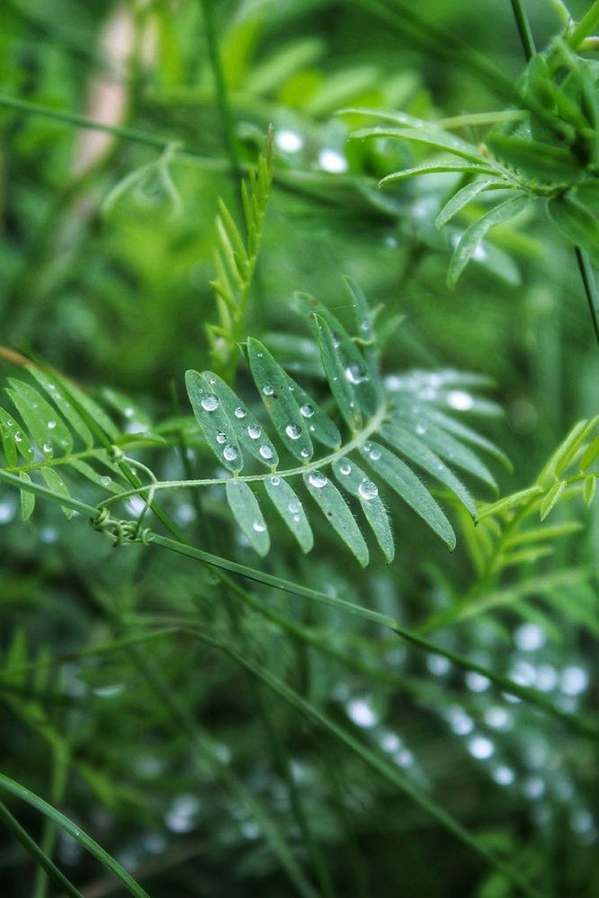 Photograph by Ольга Антанавичене