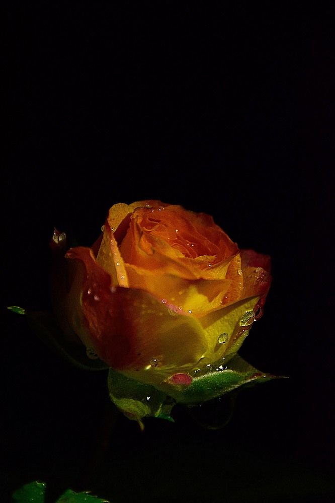 Photograph by Ольга Рыкова