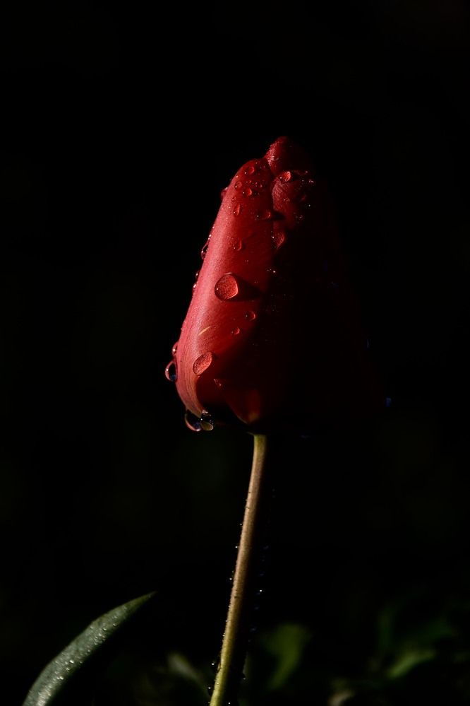 Photograph by Ольга Рыкова