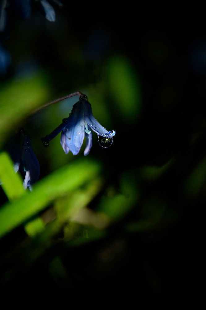 Photograph by Ольга Рыкова