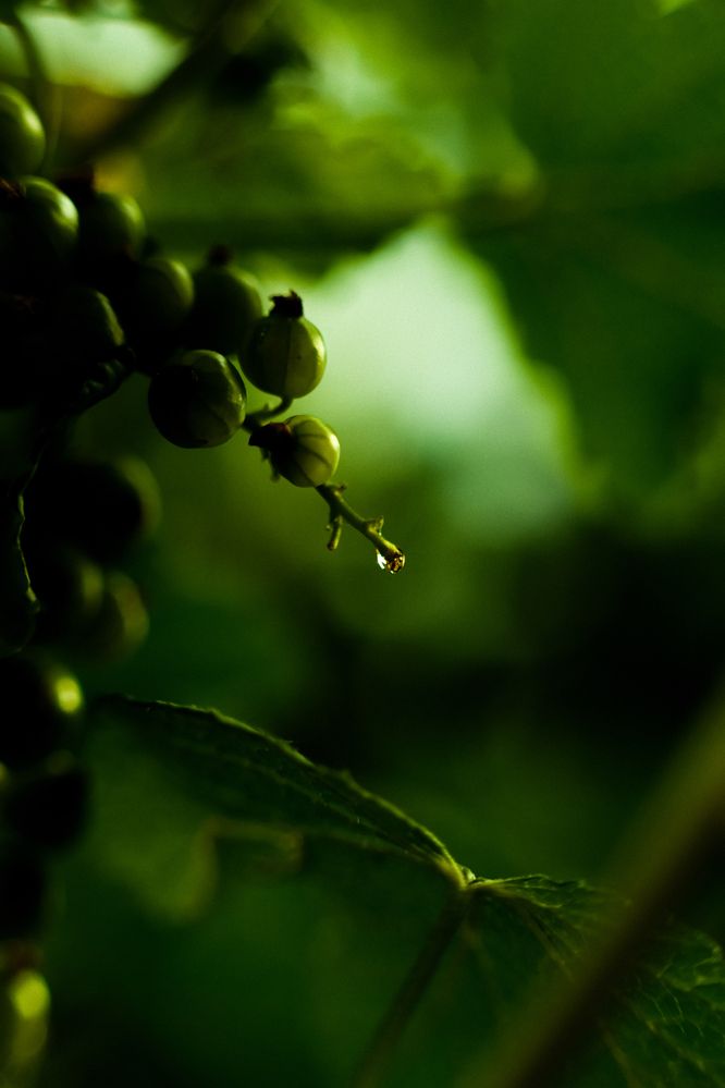 Photograph by Denis Naryshev