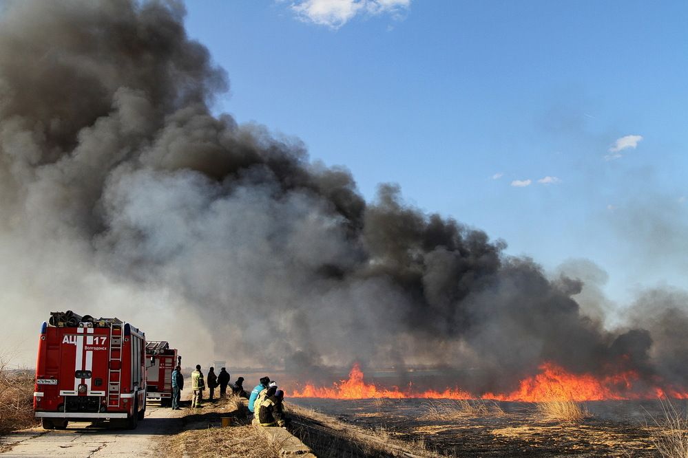 Photograph by Александр Челмодеев