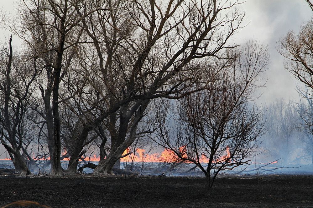 Фотография автора Александр Челмодеев