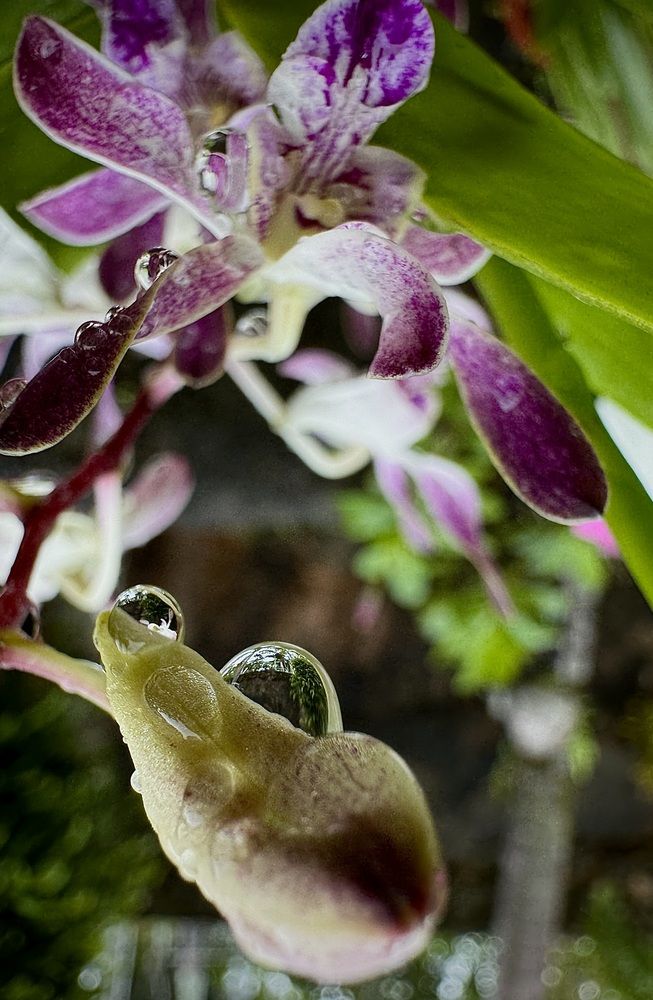 Photograph by Маргарита Сергуткина