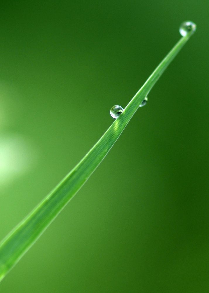 Фотография автора NARAYAN PATEL