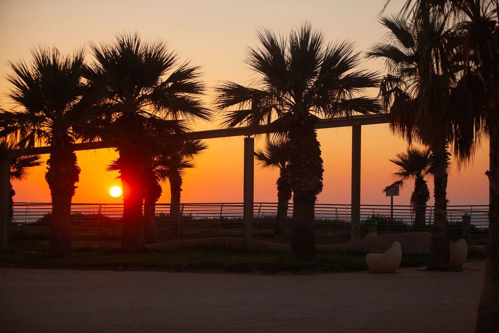 Photograph by Lada Tregubov