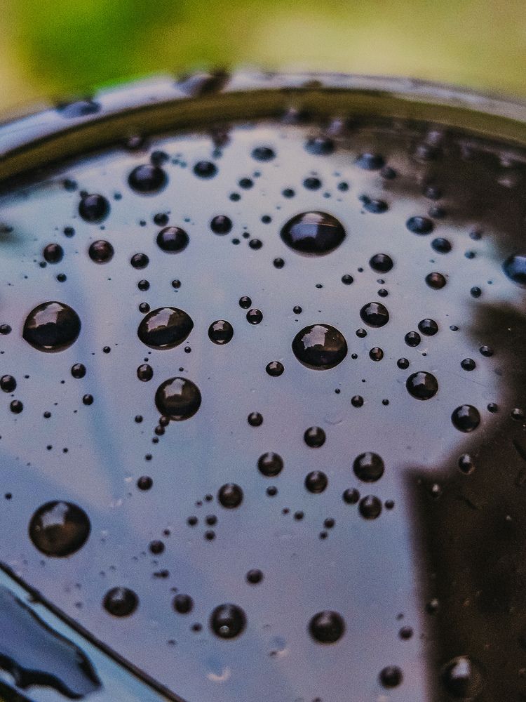 Photograph by Кристина Альшанская